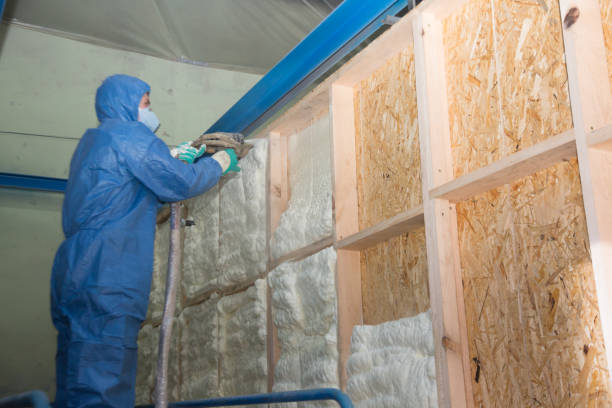 Best Energy-efficient Insulation  in Claysburg, PA